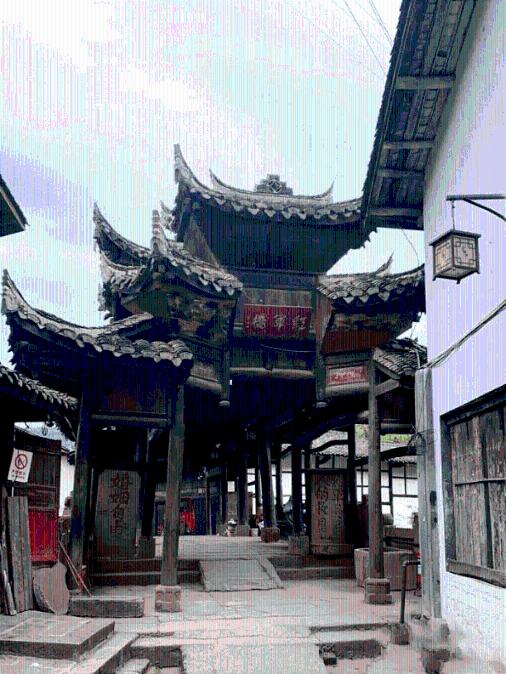 救援大胡子斗士